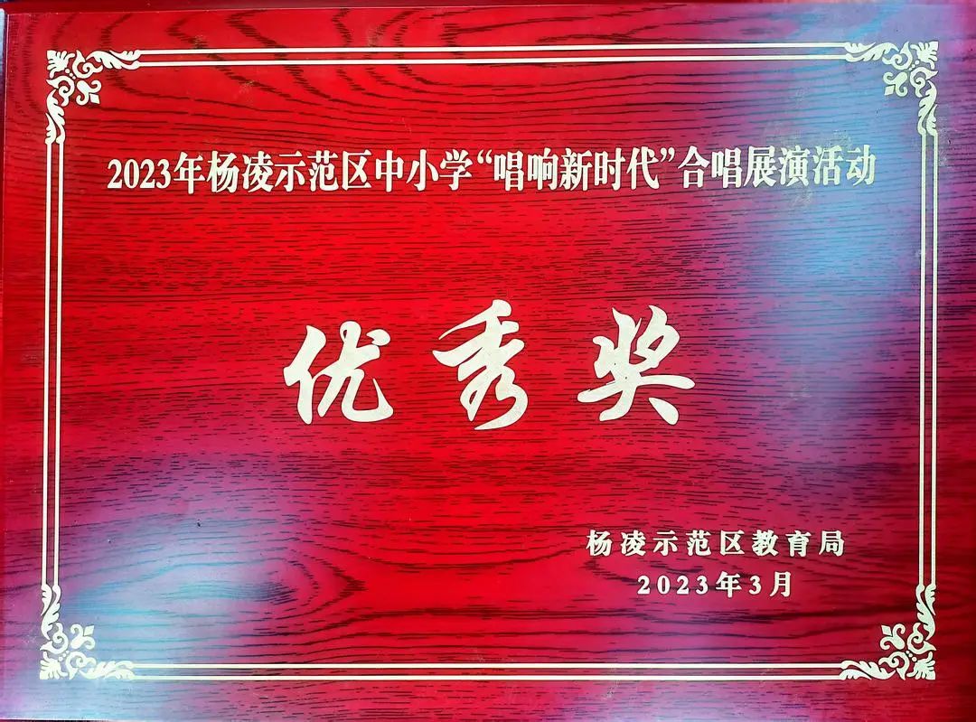 荣誉证书1