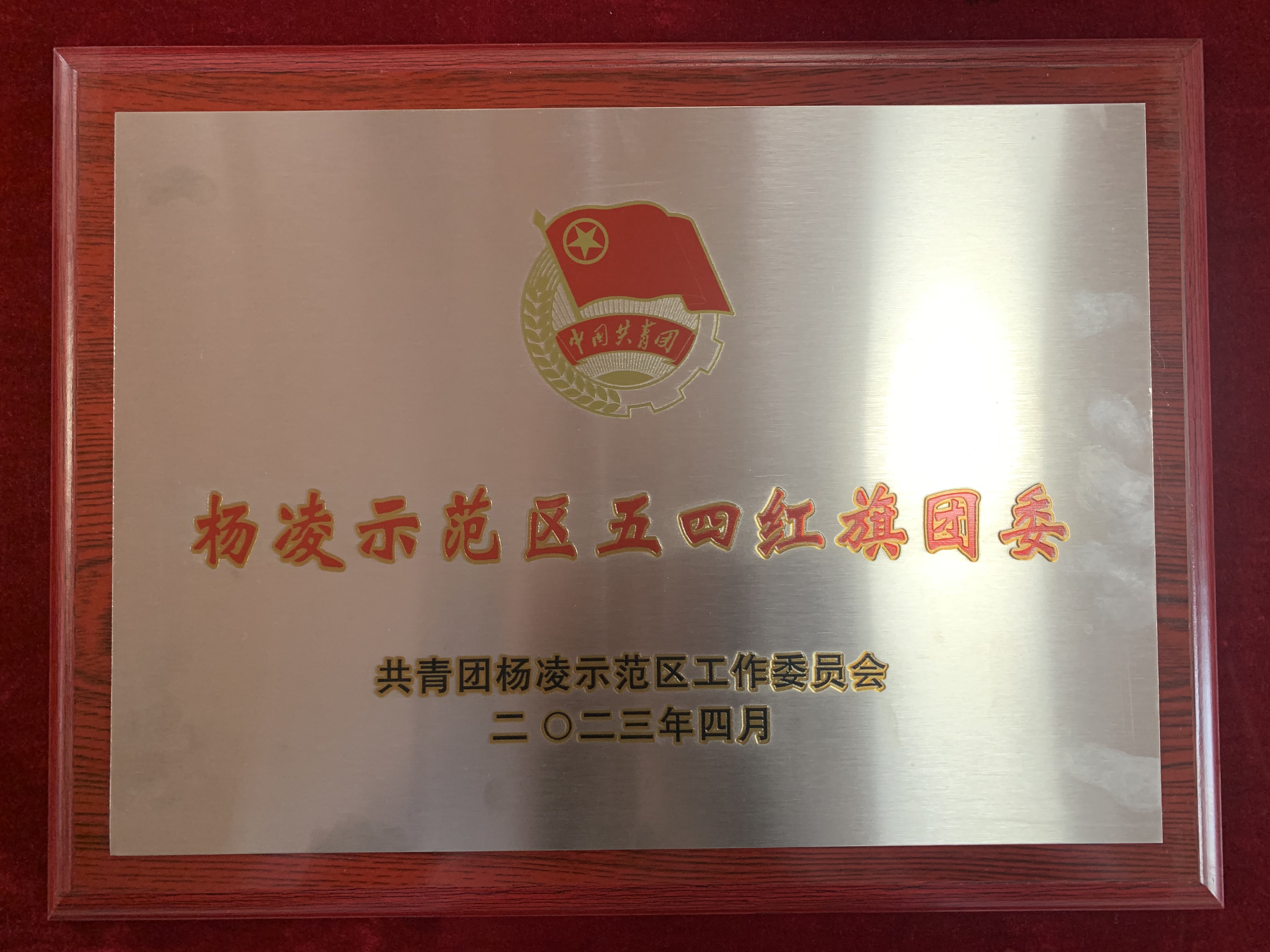 荣誉证书5