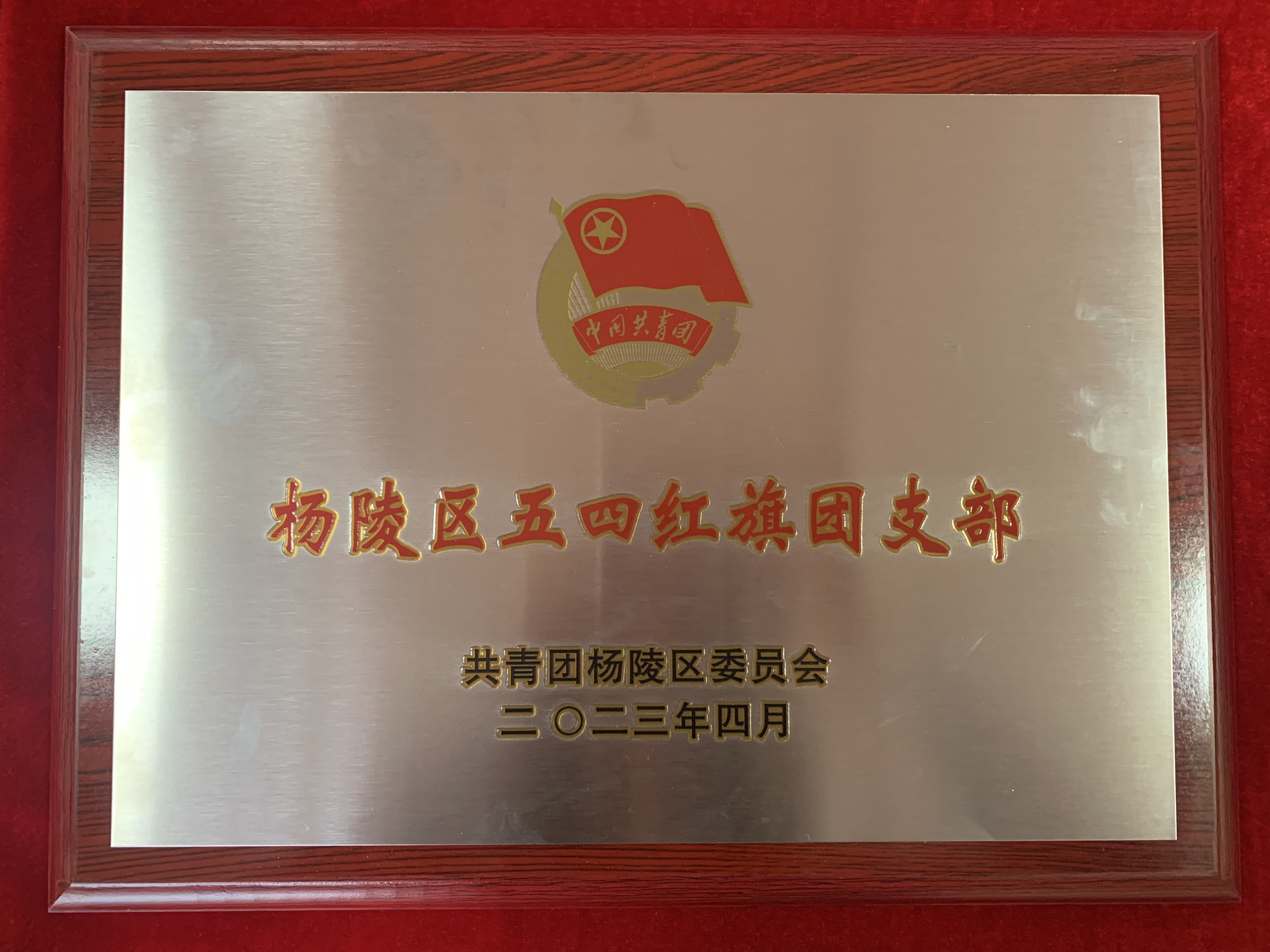 荣誉证书4