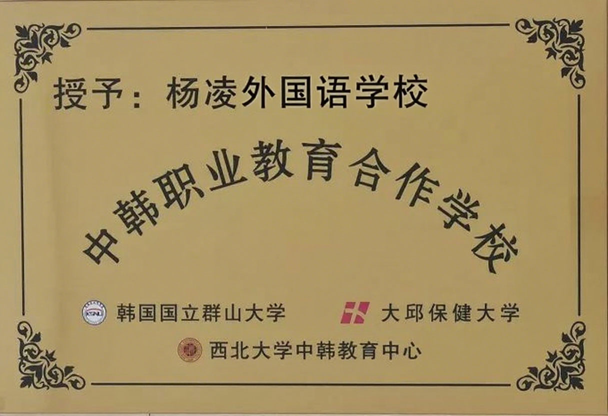 荣誉证书3