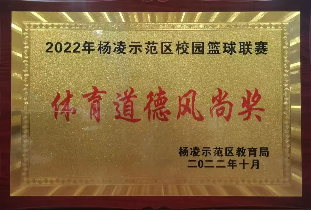 荣誉证书2